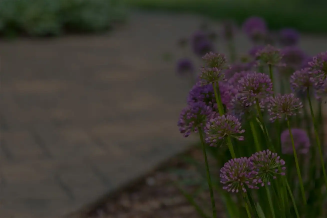 flaska-landscaping-flowers