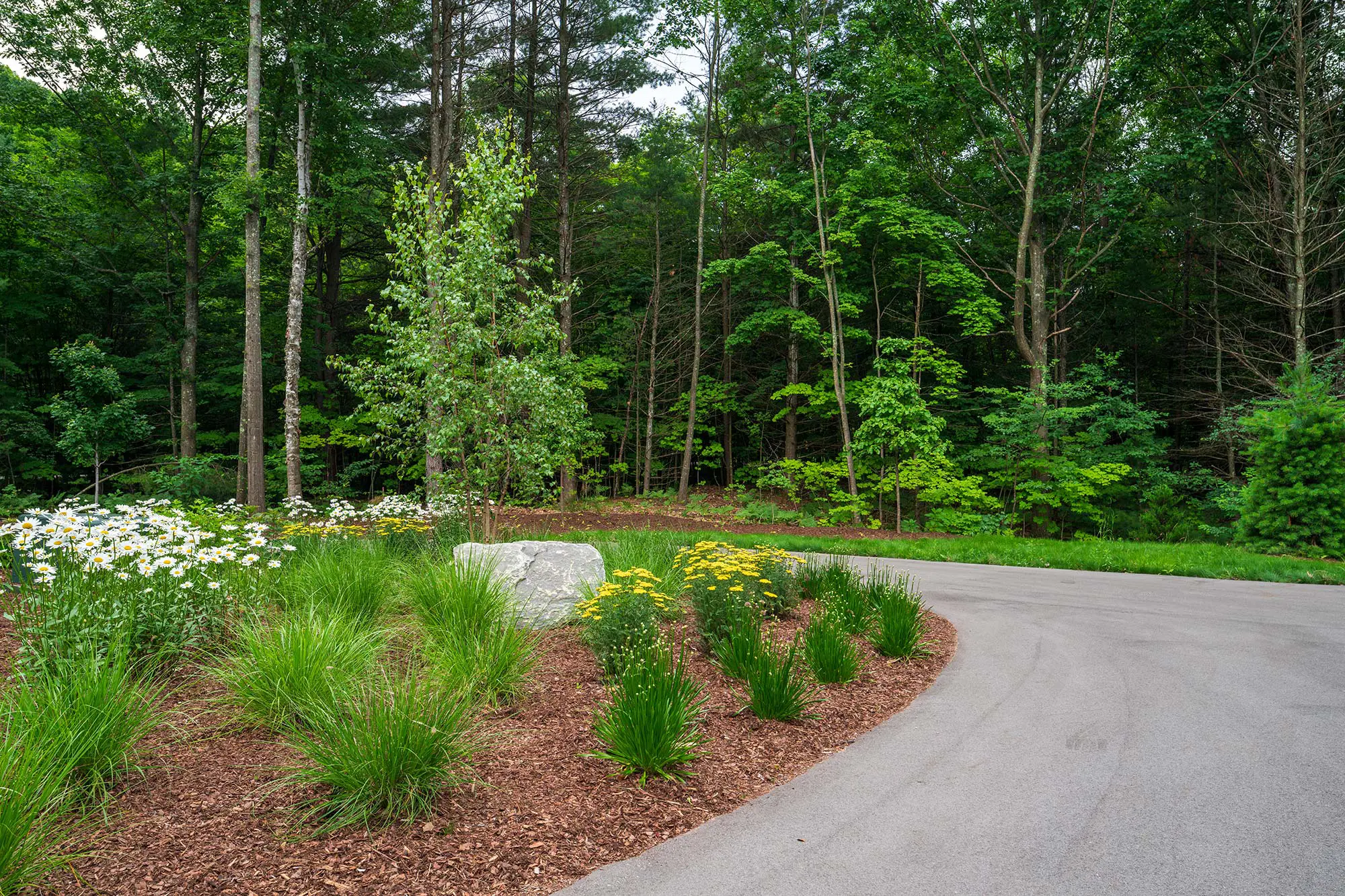 native-plantings